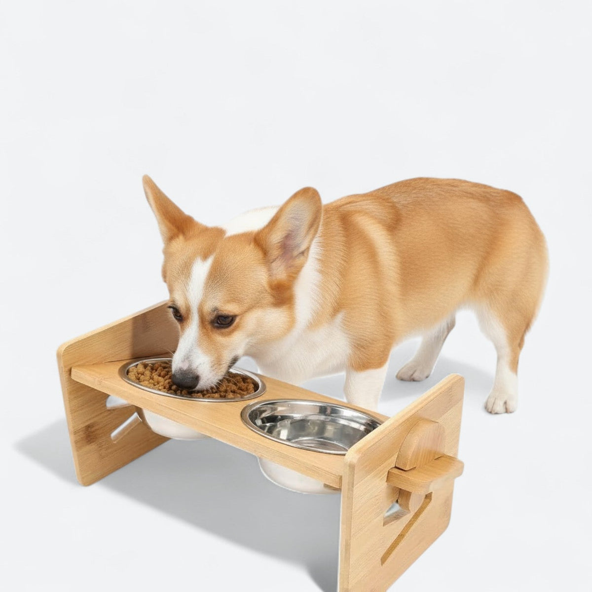 Elevated-Dog-Food-Bowl.jpg