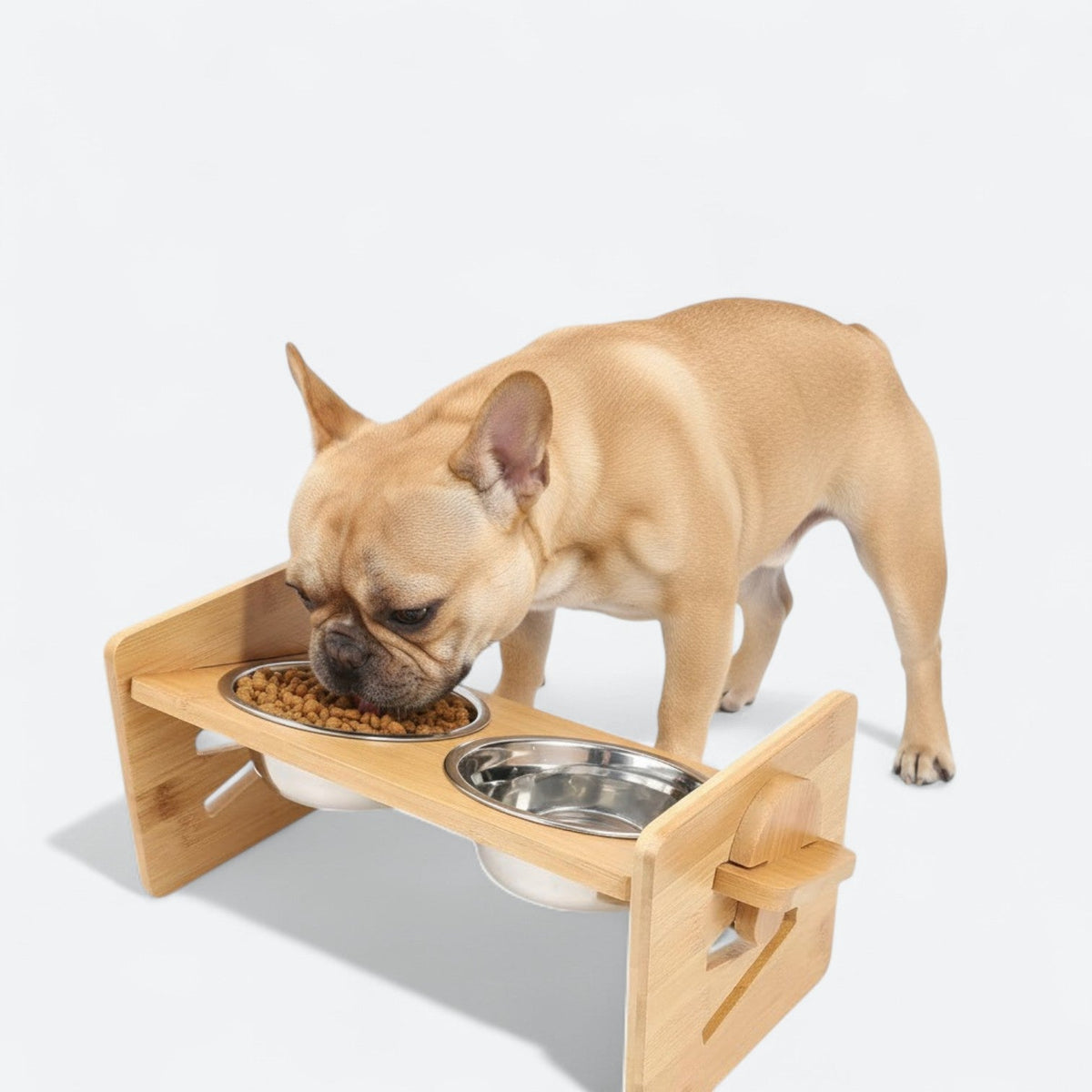 Elevated-Dog-Food-Bowl.jpg