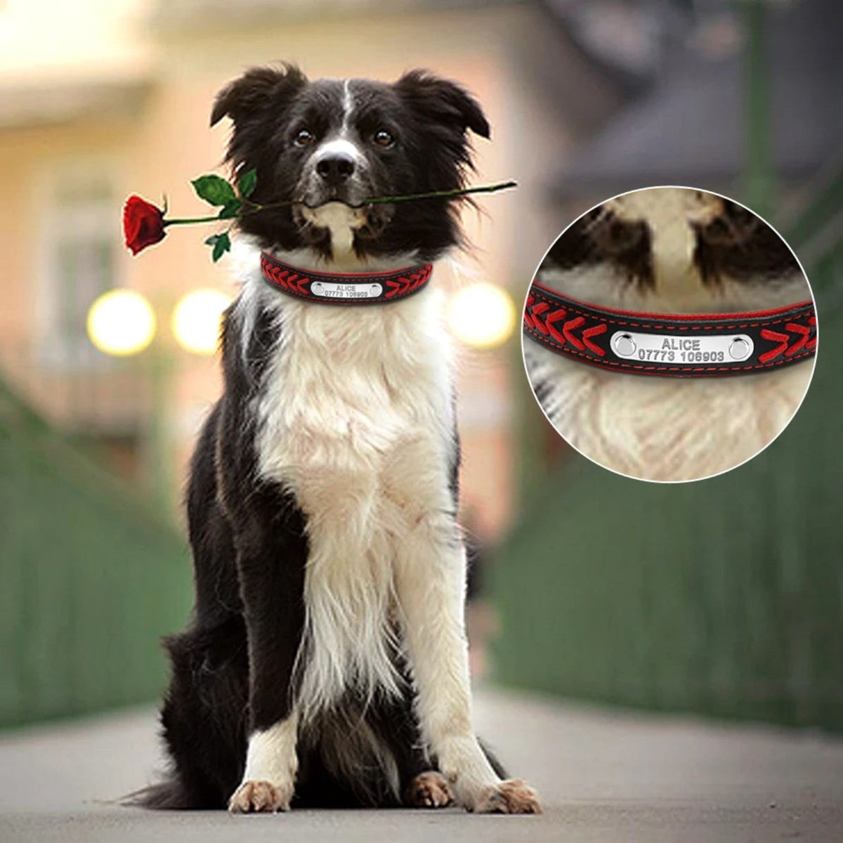 Engraved-Leather-Dog-Collar-Leash-Set.jpg