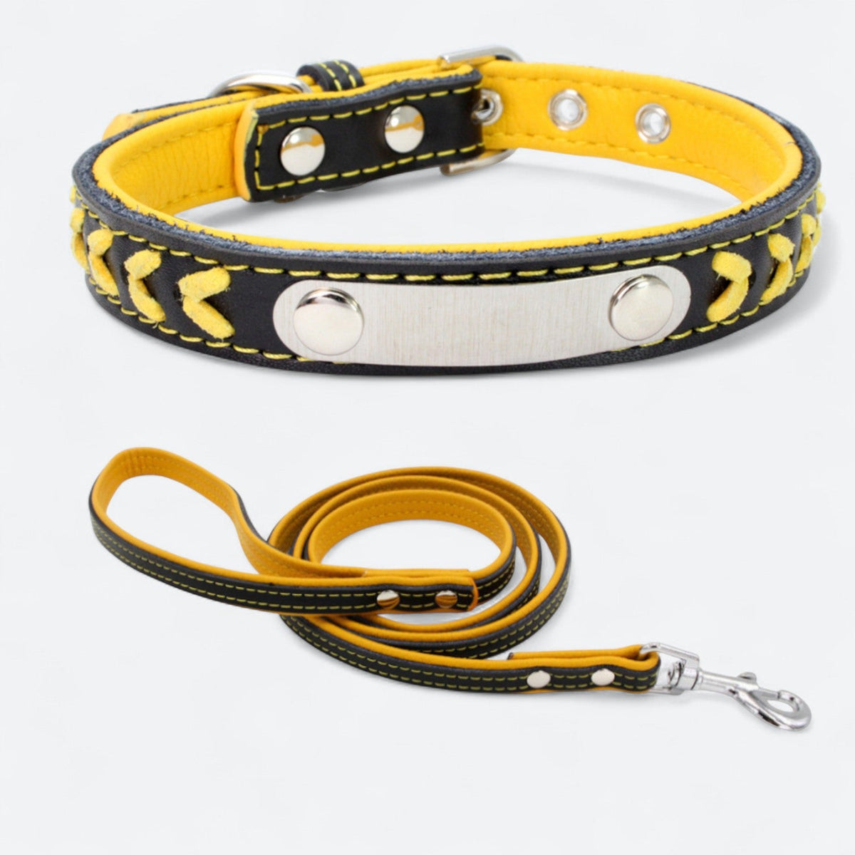 Engraved leather dog collar and leash set