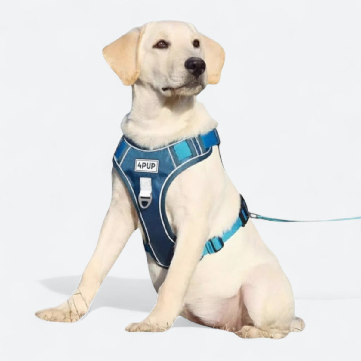 Explosion-Proof-Dog-Harness-Set.jpg