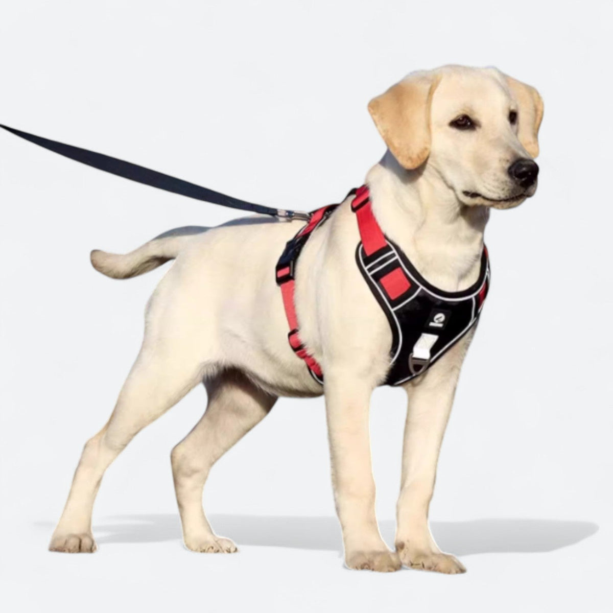 Explosion-Proof-Dog-Harness-Set.jpg