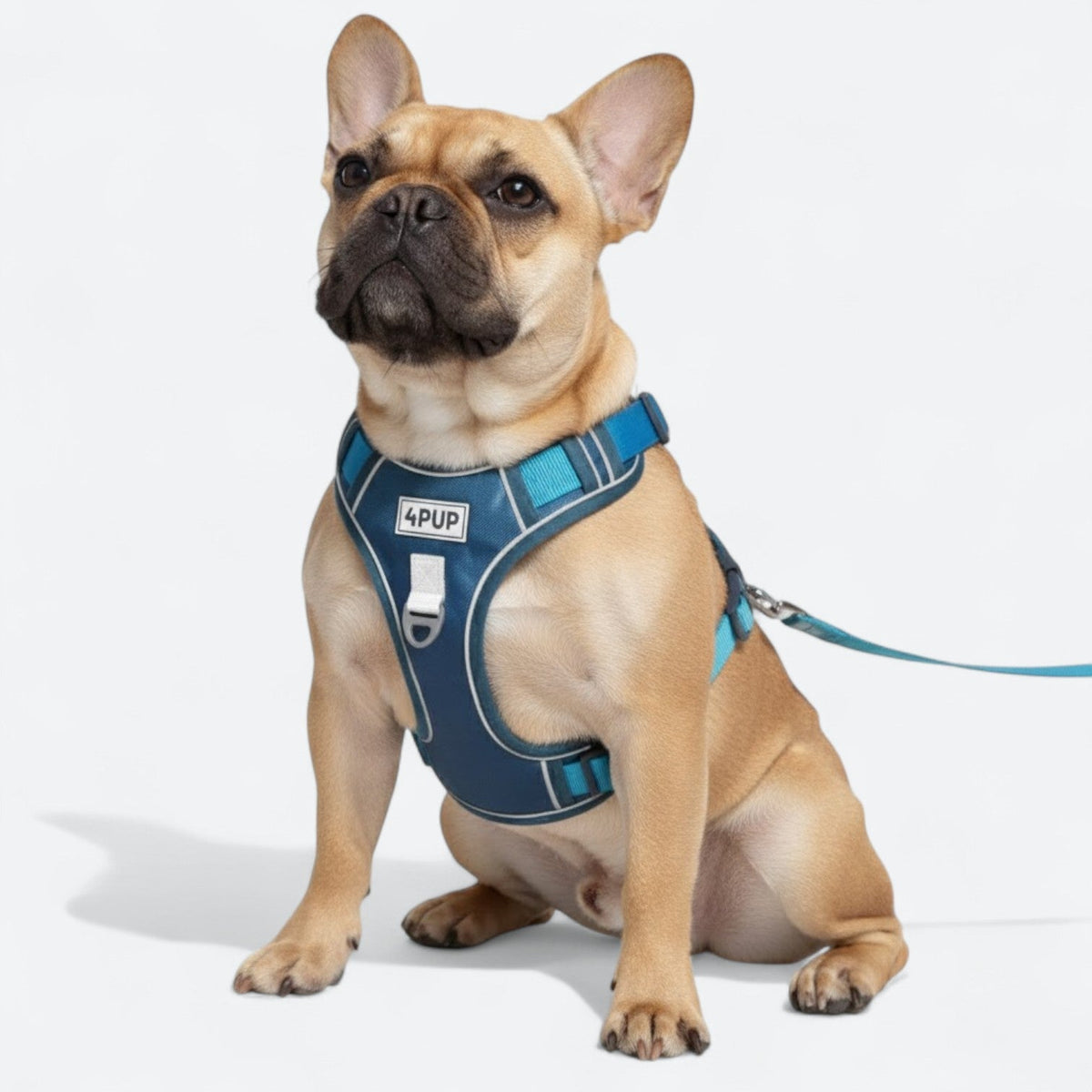 Explosion-Proof-Dog-Harness-Set.jpg