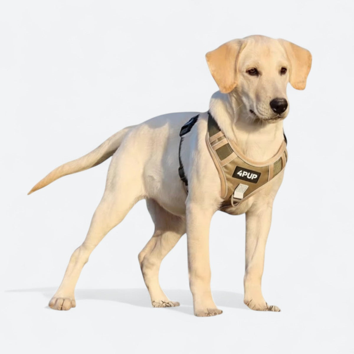 Explosion-Proof-Dog-Harness-Set.jpg