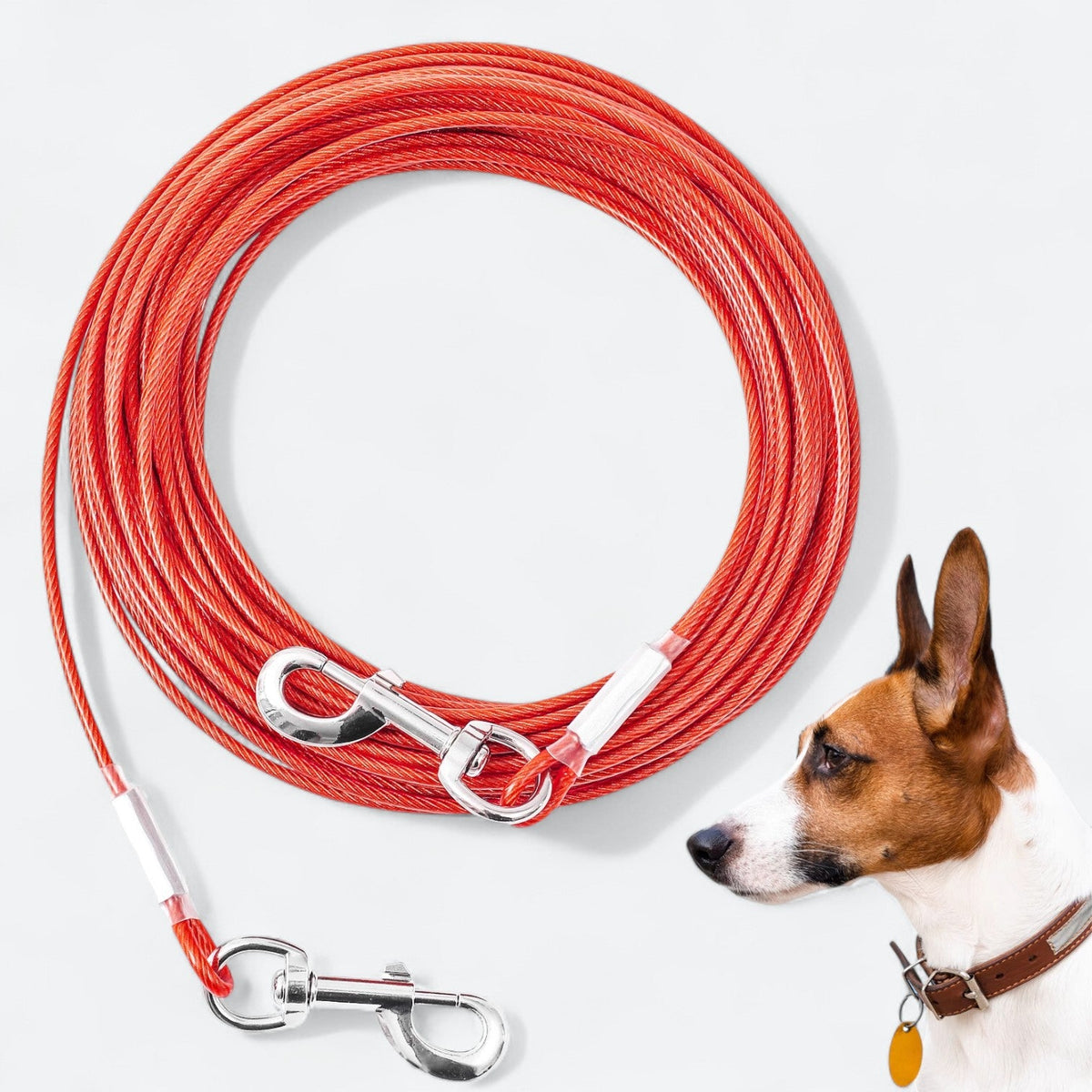 Extended-Steel-Wire-Rope-Dog-Leash.jpg