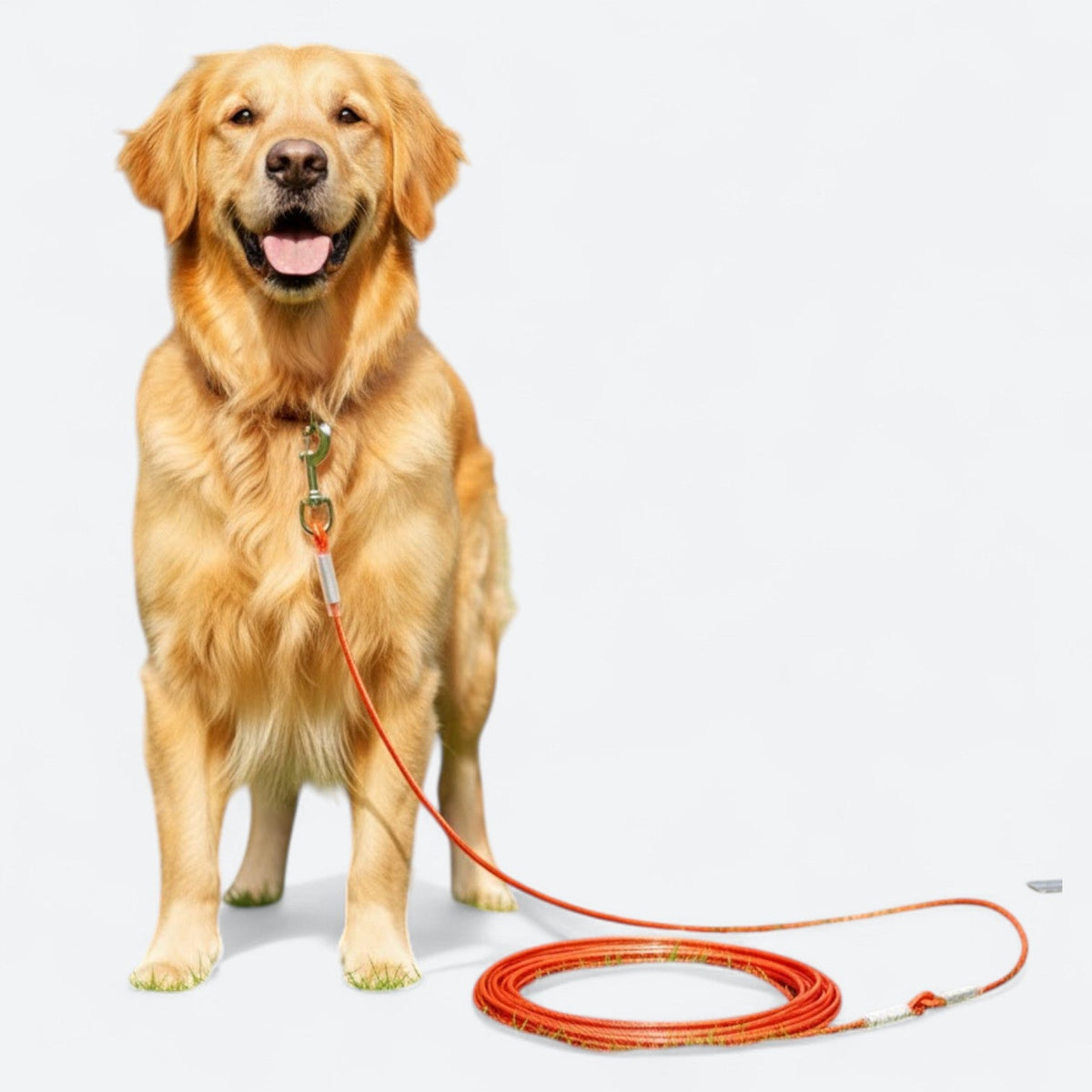 Extended-Steel-Wire-Rope-Dog-Leash.jpg