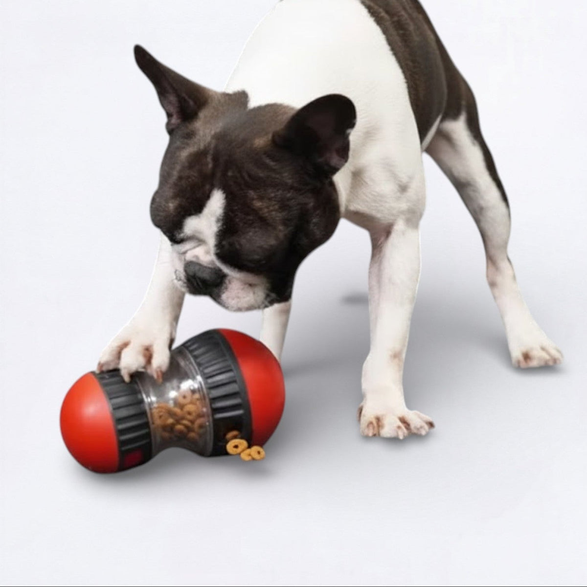 Fengrong-Treat-Dispenser-Dog-Toy.jpg