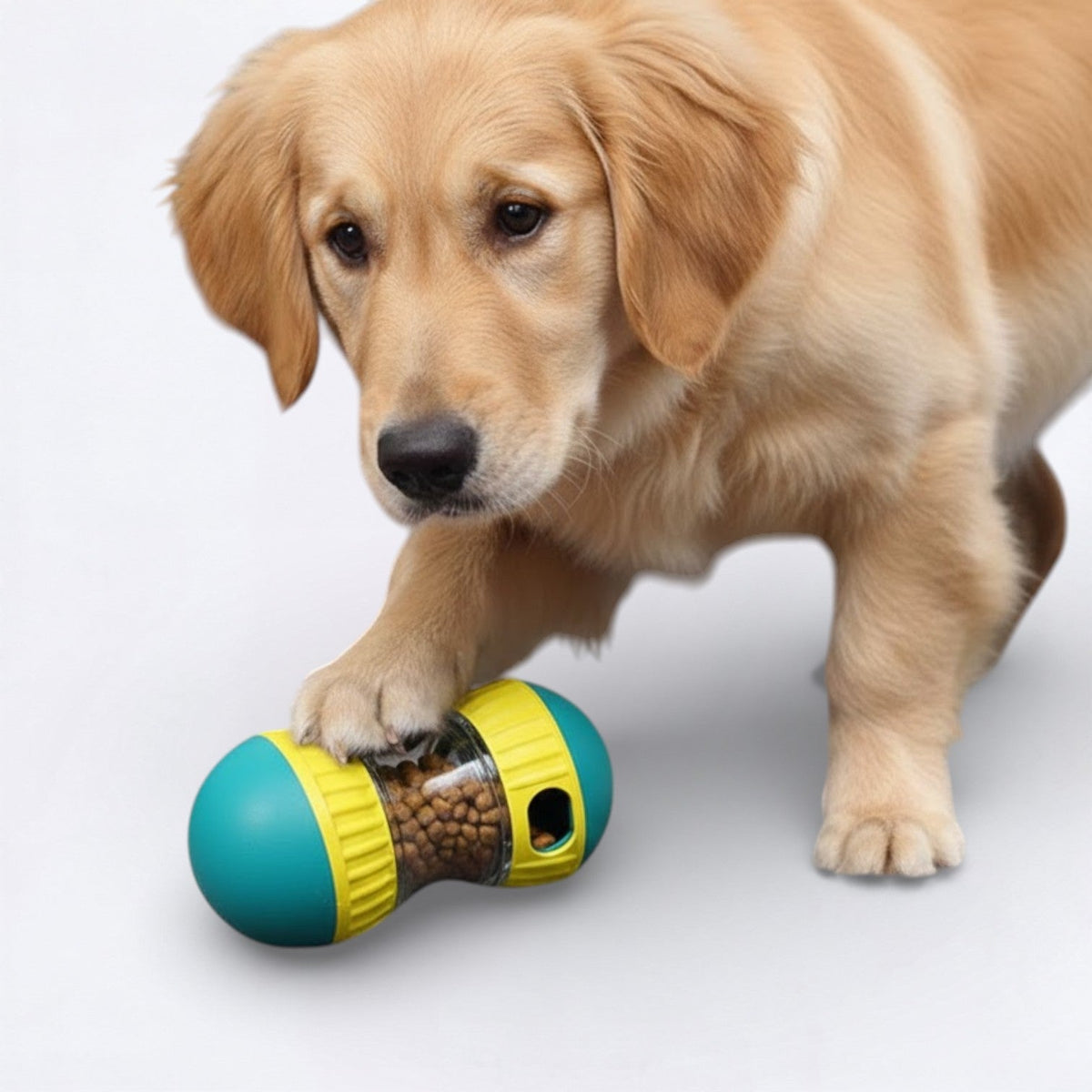 Fengrong-Treat-Dispenser-Dog-Toy.jpg