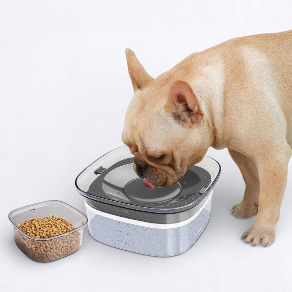 Floating-Dog-Water-Bowl.jpg