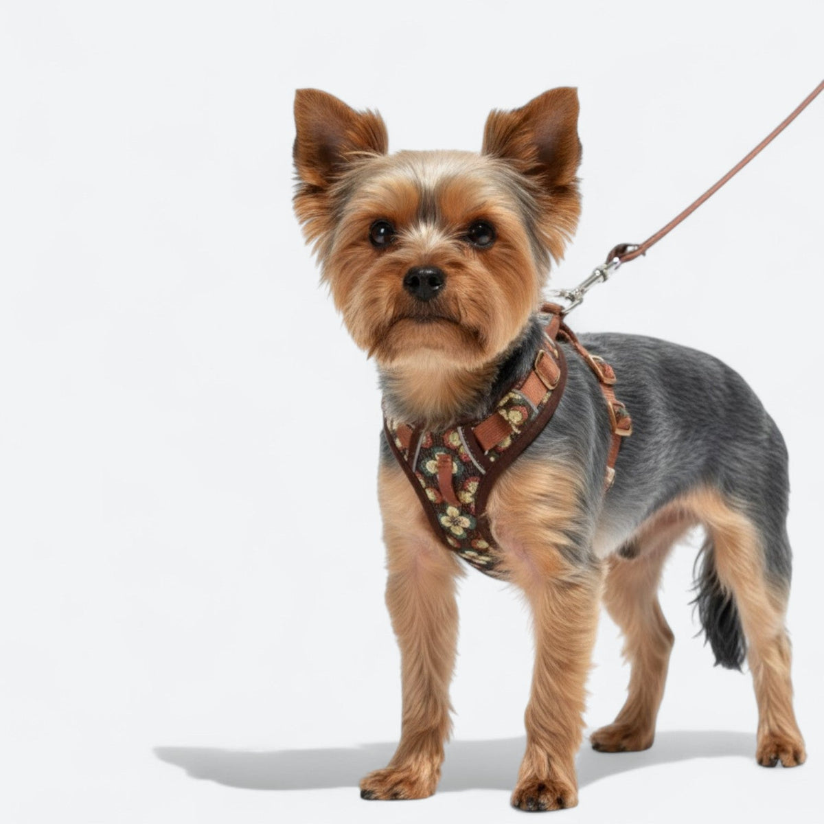 Floral-Padded-Dog-Harness-Leash-Set.jpg