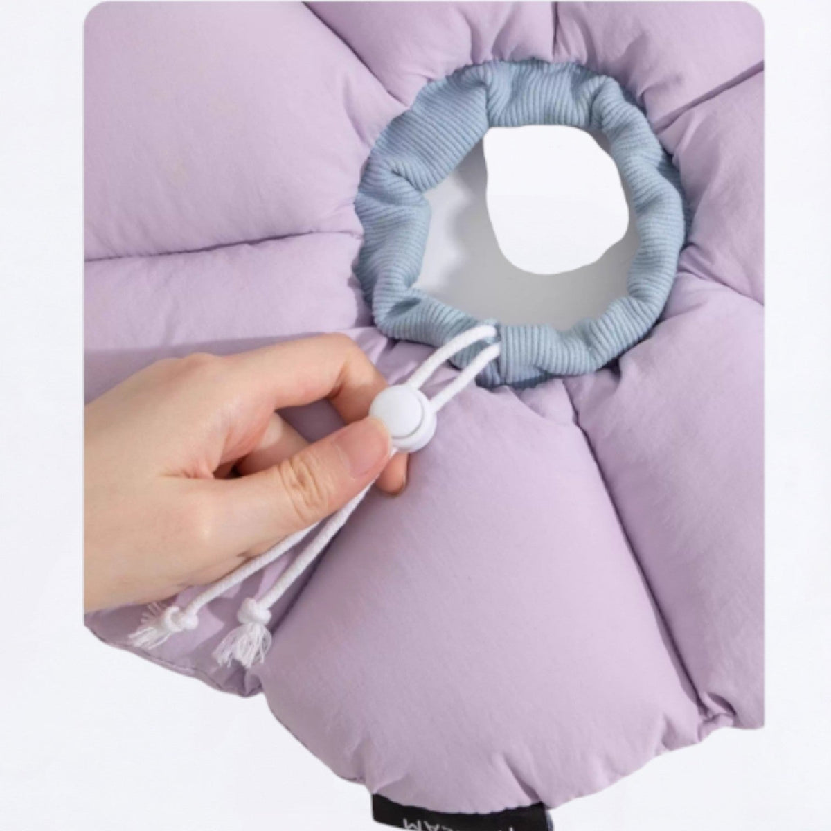 Flower-Shaped-Soft-Dog-Cone.jpg