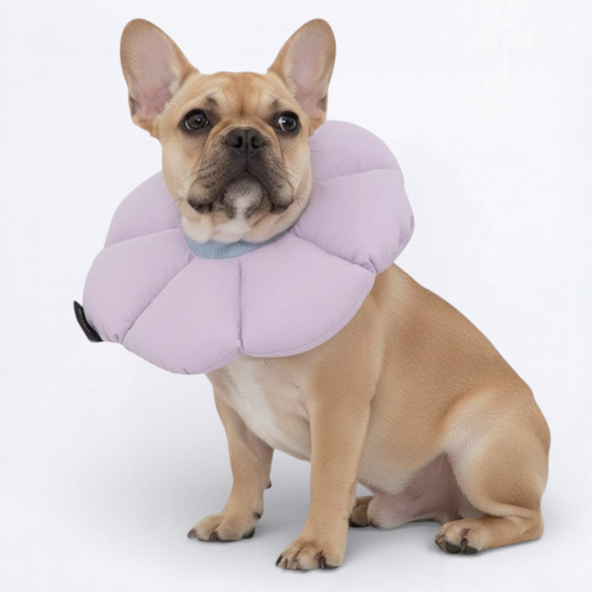 Flower-Shaped-Soft-Dog-Cone.jpg