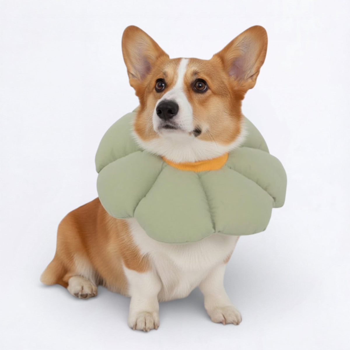 Flower-Shaped-Soft-Dog-Cone.jpg