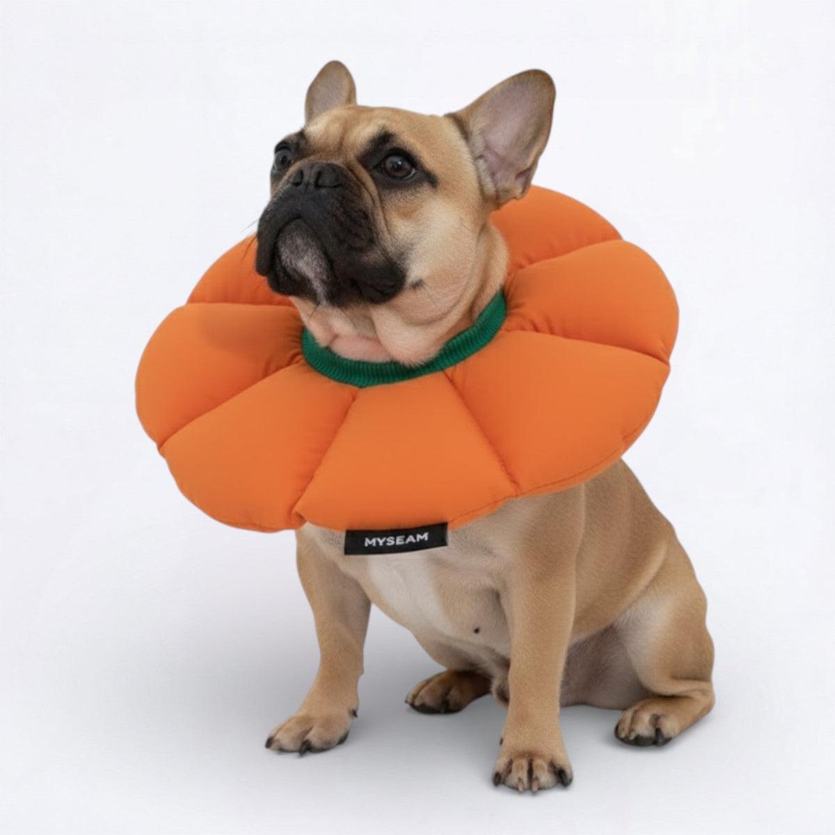 Flower-Shaped-Soft-Dog-Cone.jpg