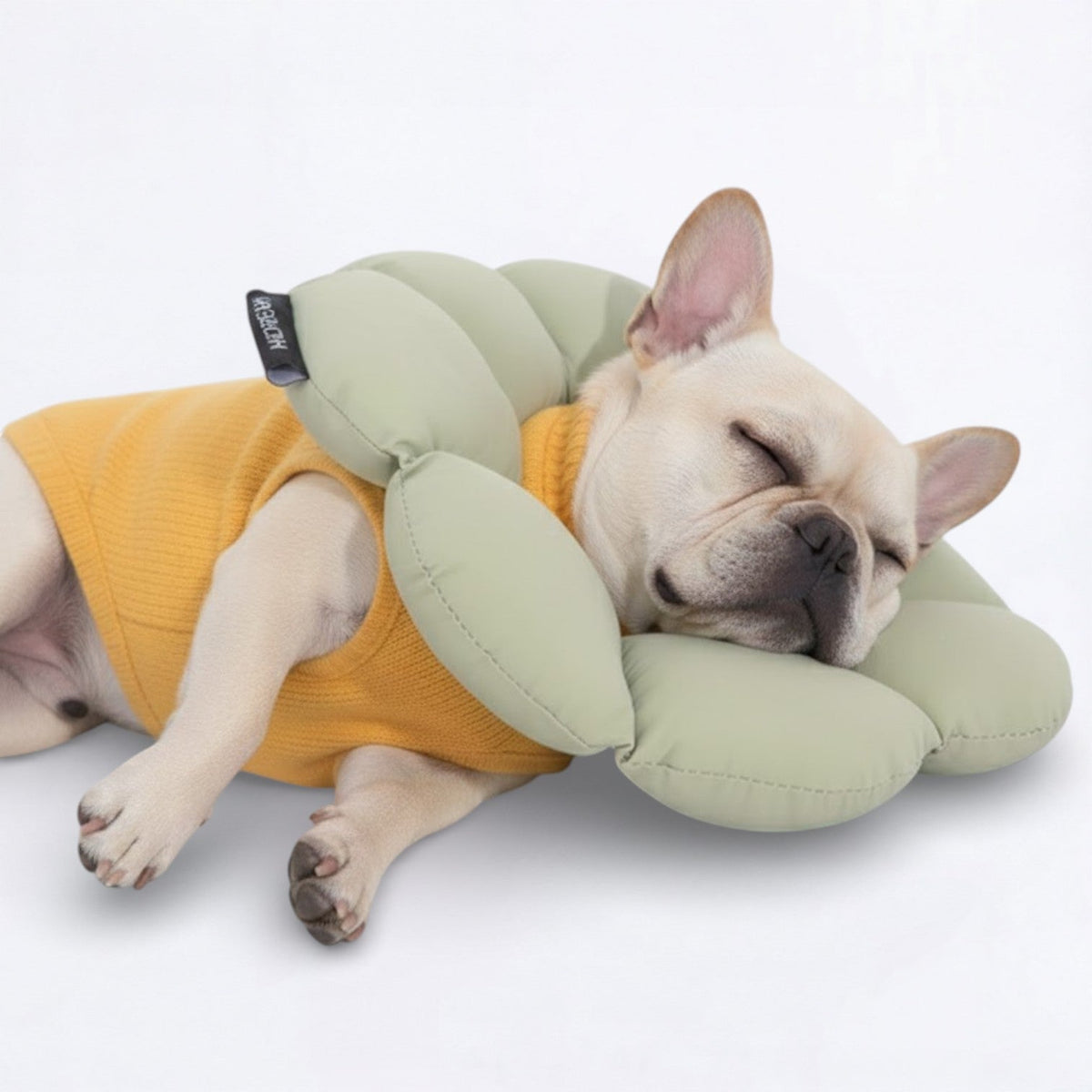Flower-Shaped-Soft-Dog-Cone.jpg