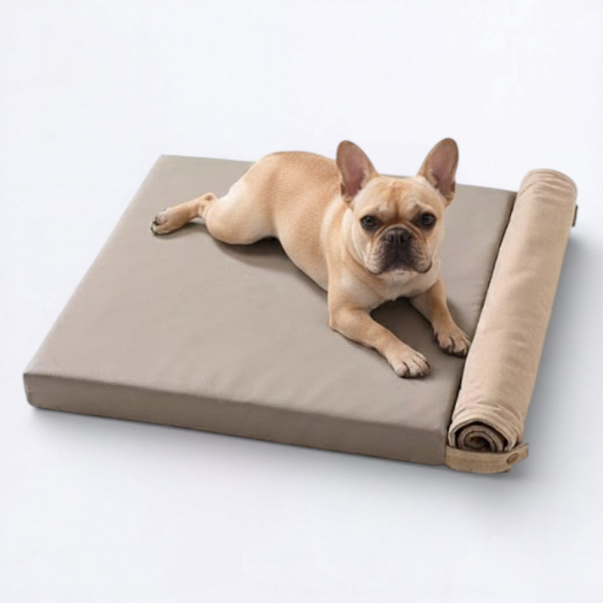 Foldable-Canvas-Dog-Tent-Bed.jpg