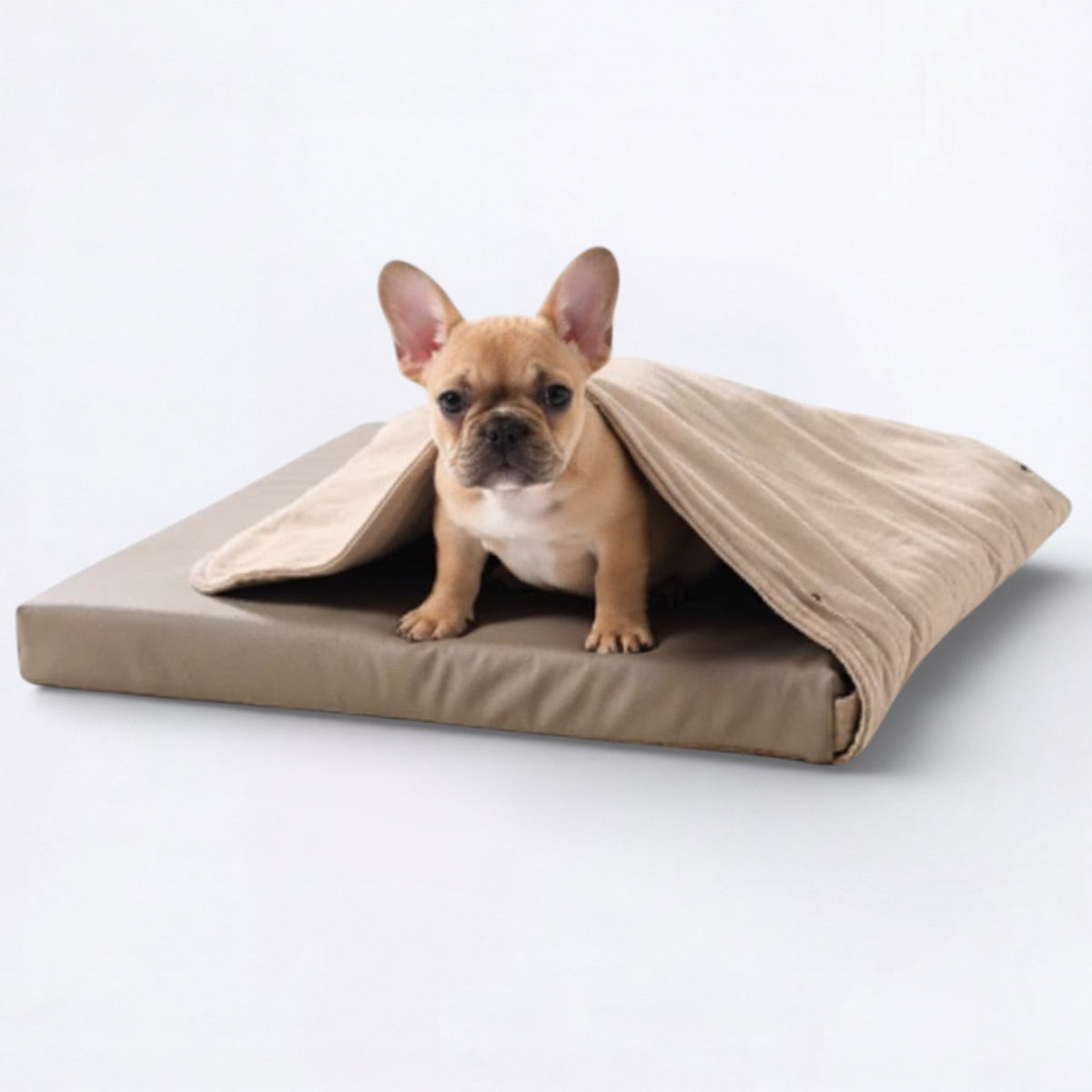 Foldable-Canvas-Dog-Tent-Bed.jpg