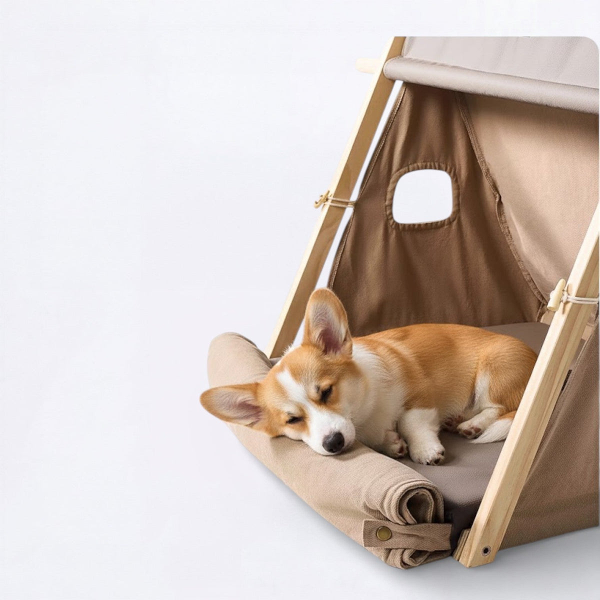 Foldable-Canvas-Dog-Tent-Bed.jpg
