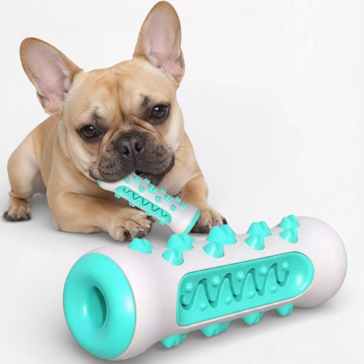 Food-Dispensing-Dog-Chew-Toy.jpg