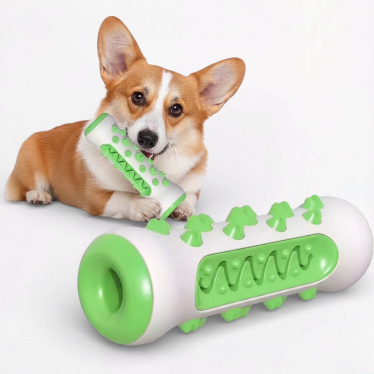 Food-Dispensing-Dog-Chew-Toy.jpg