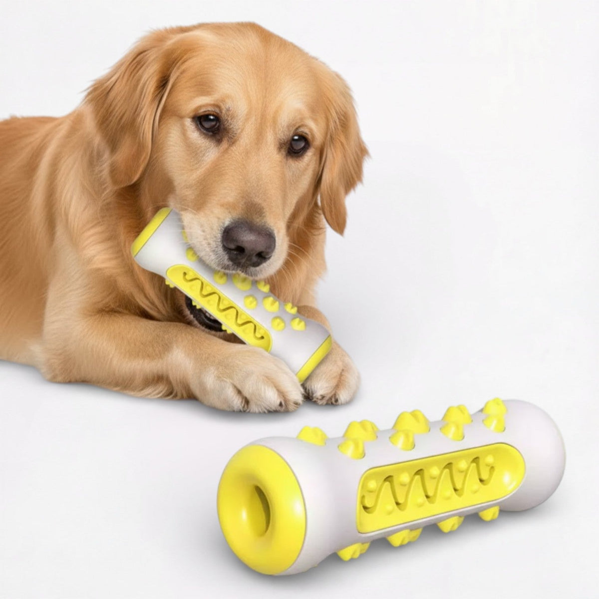 Food-Dispensing-Dog-Chew-Toy.jpg