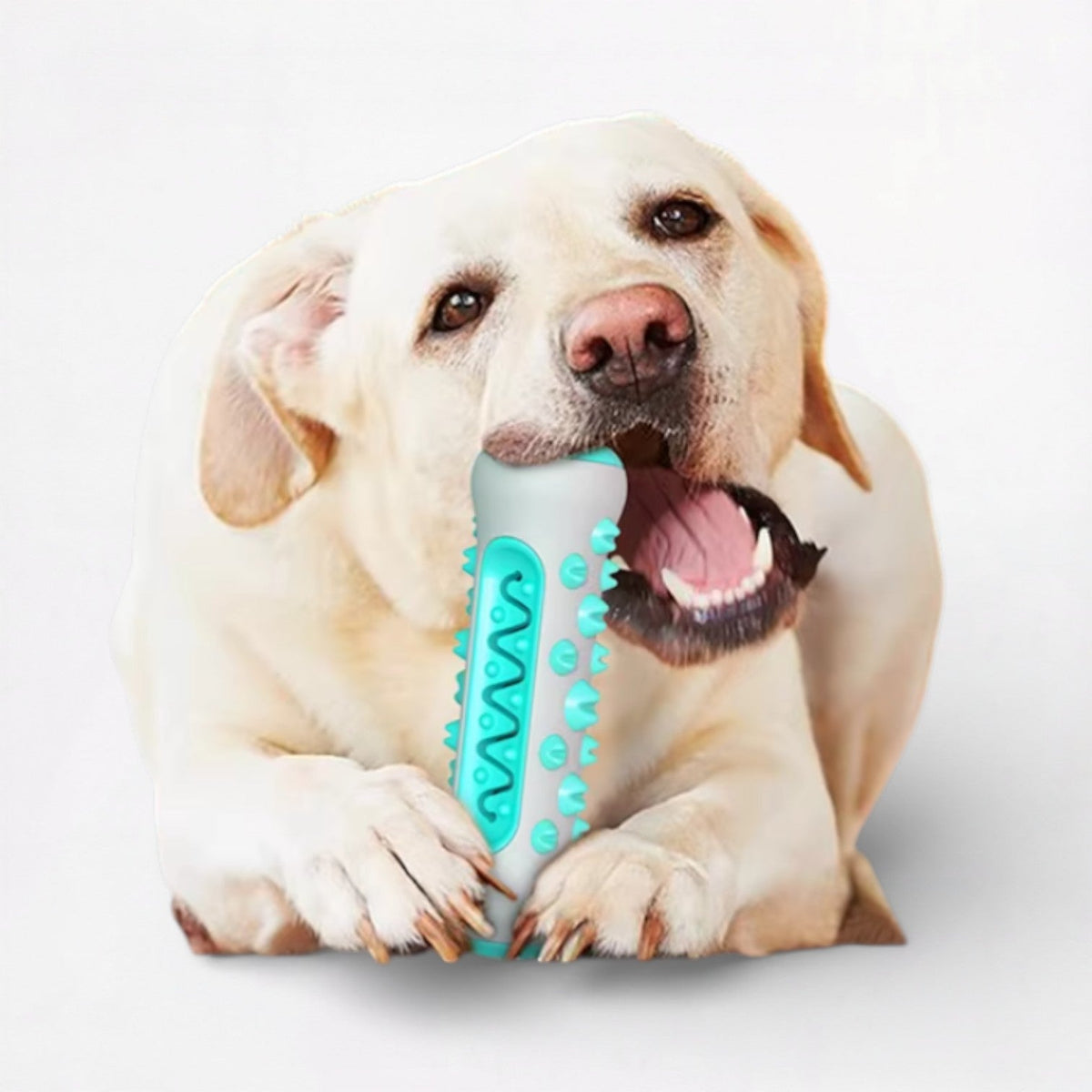 Food-Dispensing-Dog-Chew-Toy.jpg