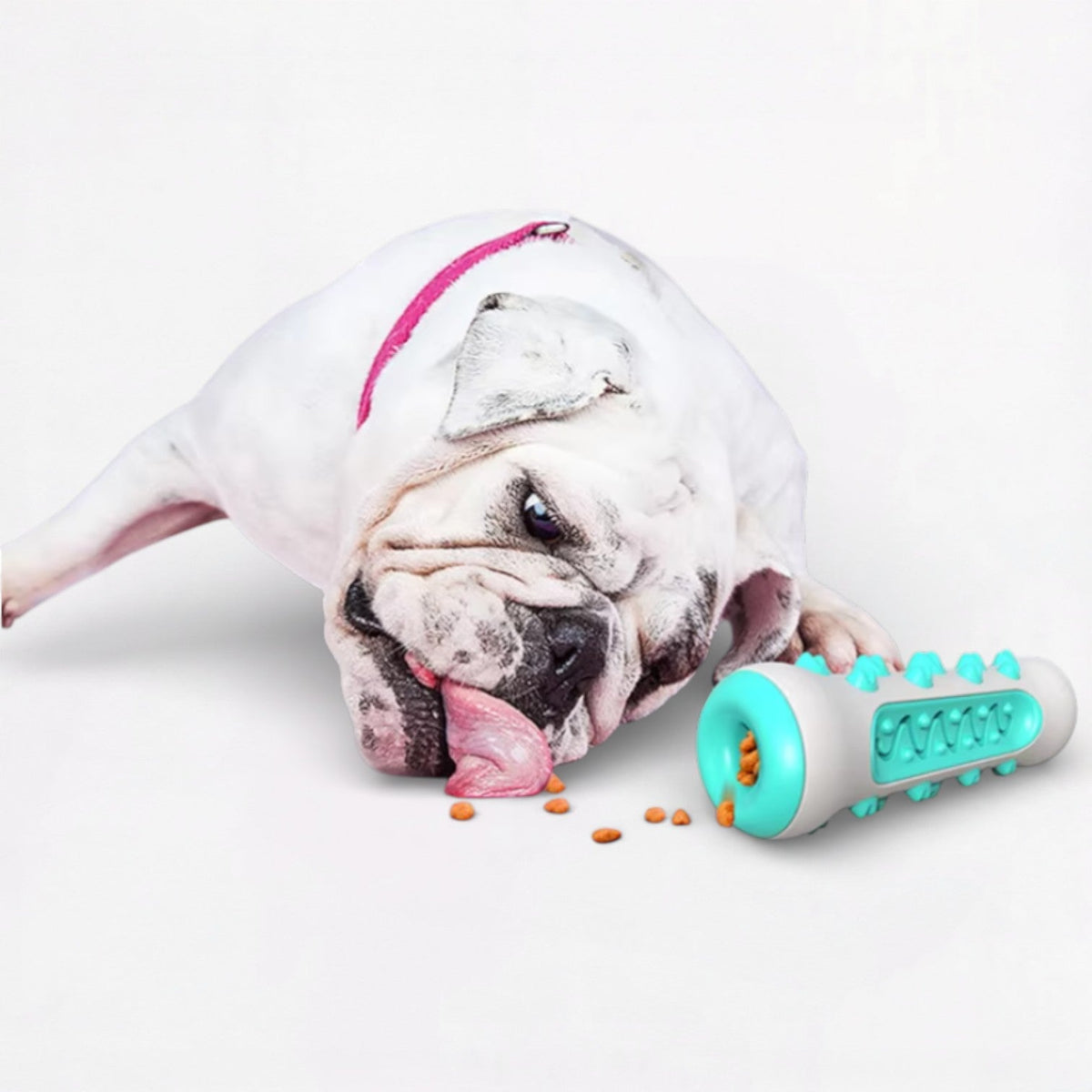 Food-Dispensing-Dog-Chew-Toy.jpg