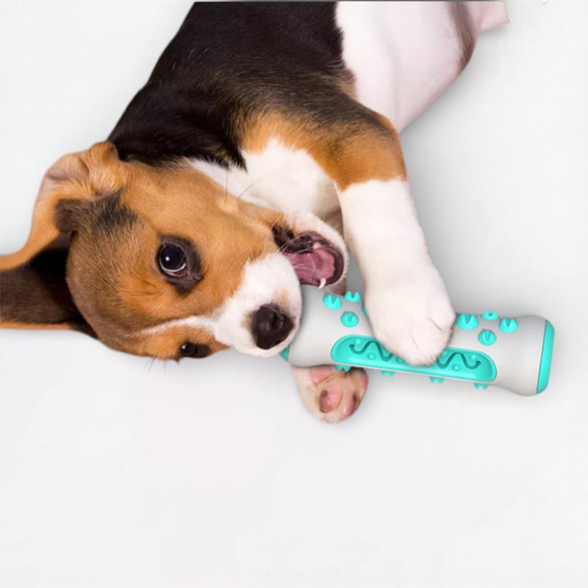 Food-Dispensing-Dog-Chew-Toy.jpg
