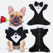 Formal dog harness and leash set