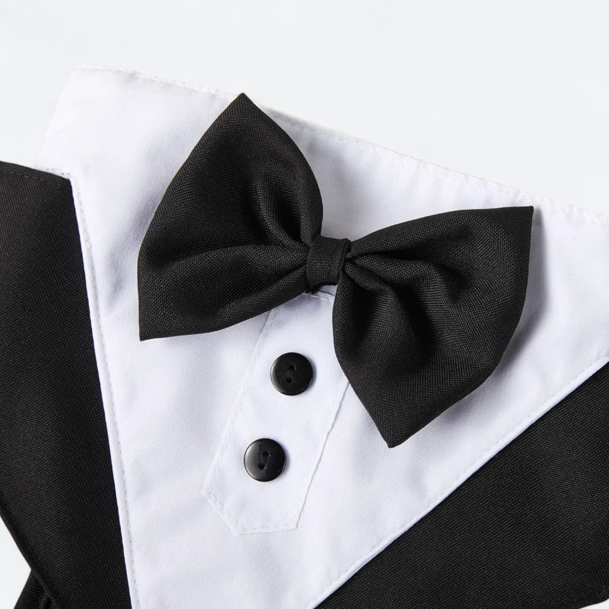 Formal-Dog-Harness-Leash-Set.jpg
