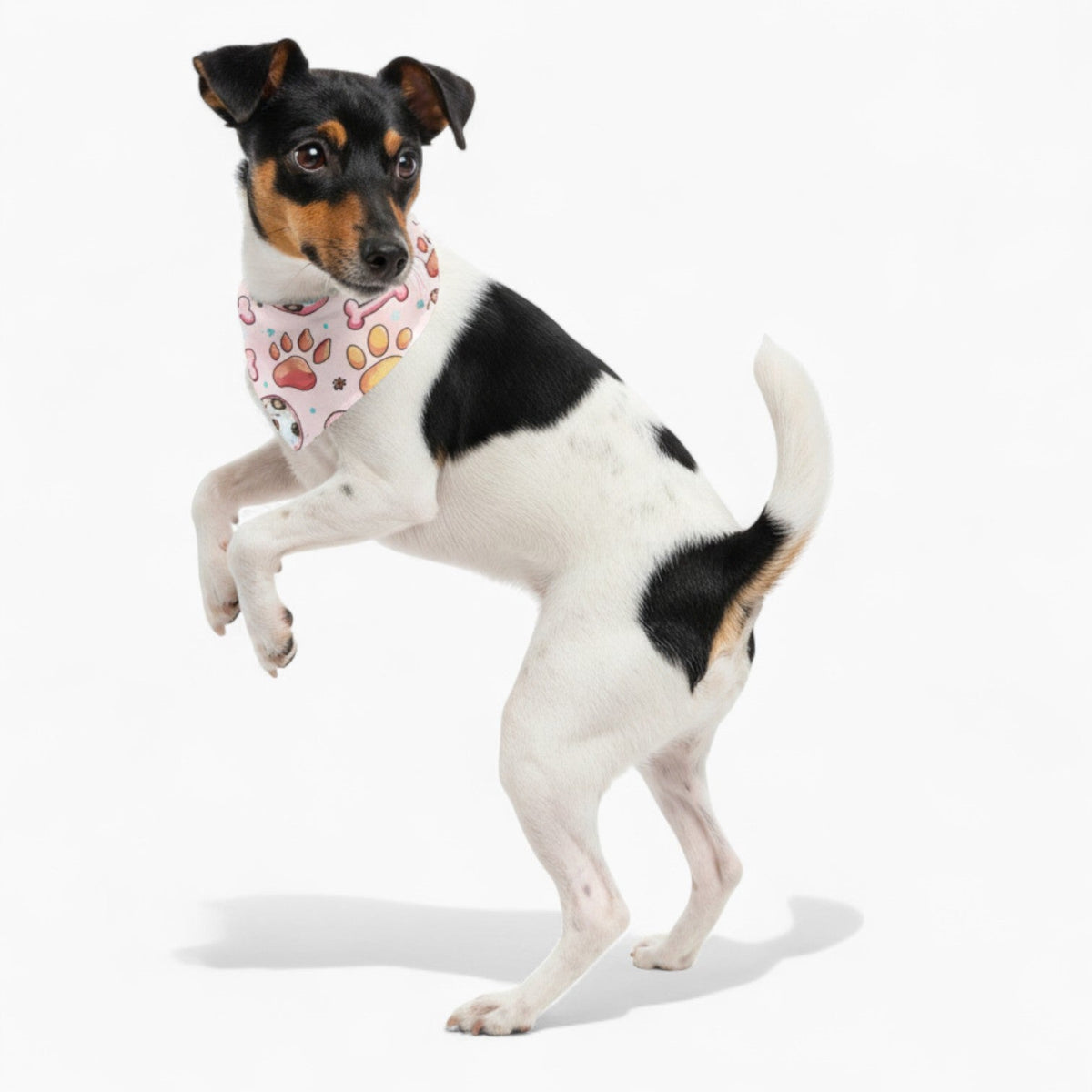 Frankie - Dog Bandanas