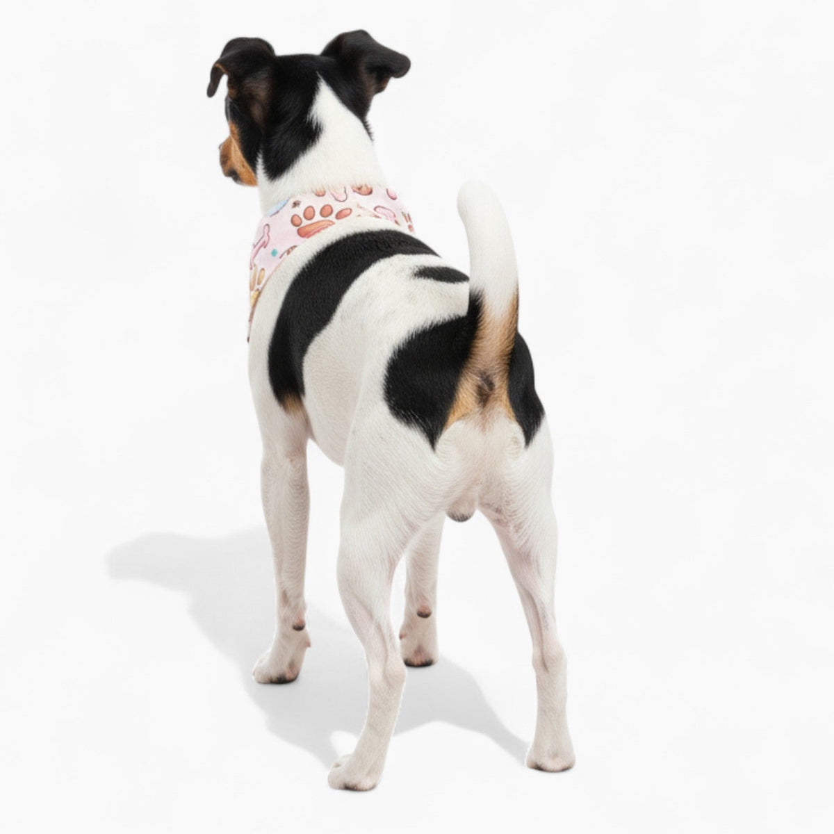 Frankie - Stylish Dog Bandana