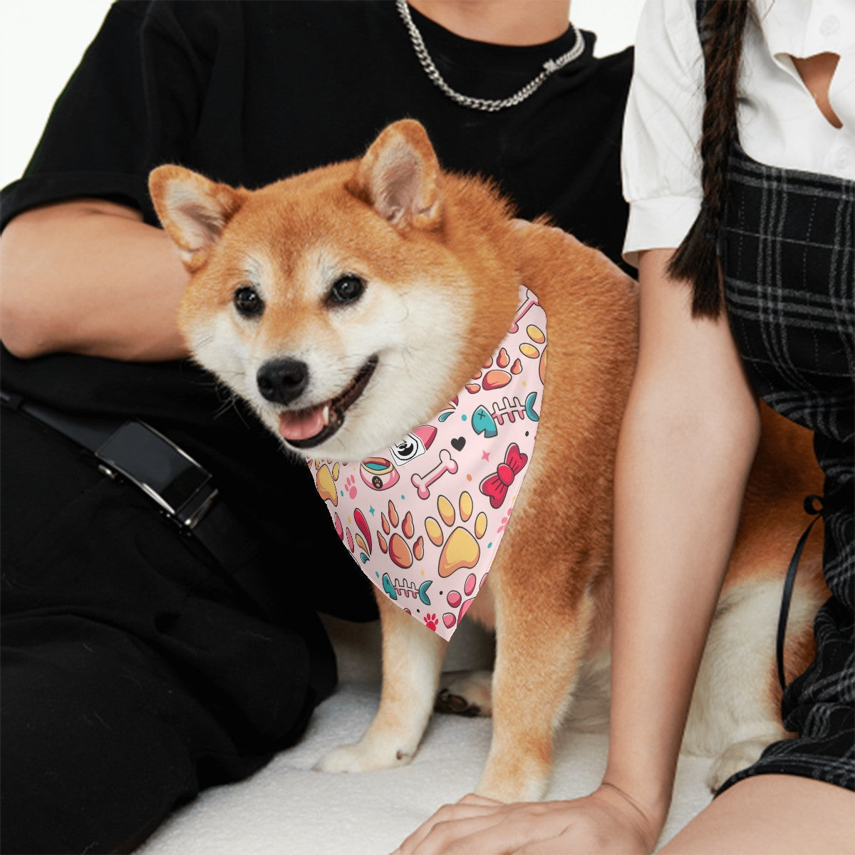 Frankie - Stylish Dog Bandanas