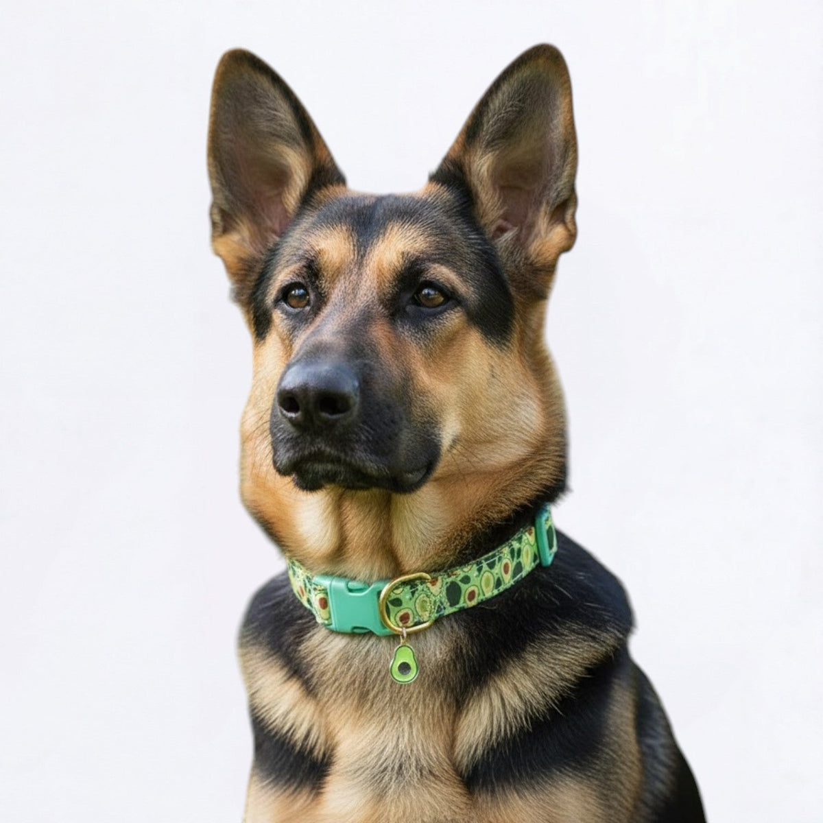 Fruit-themed dog collar with metal pendant