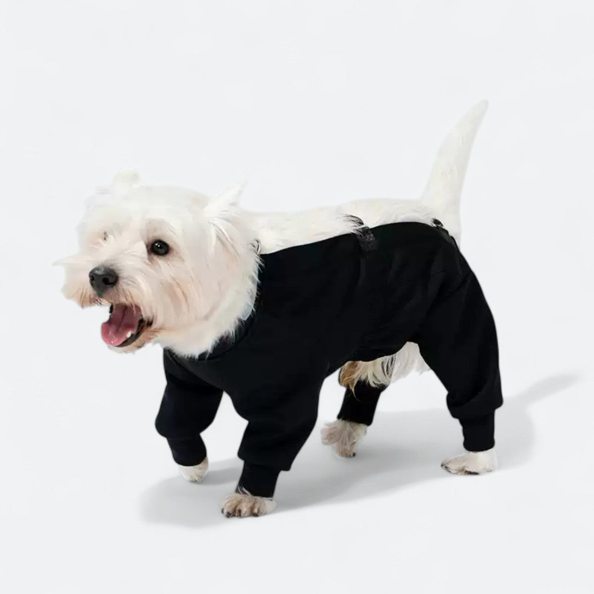 Full-Body-Waterproof-Dog-Jumpsuit.jpg