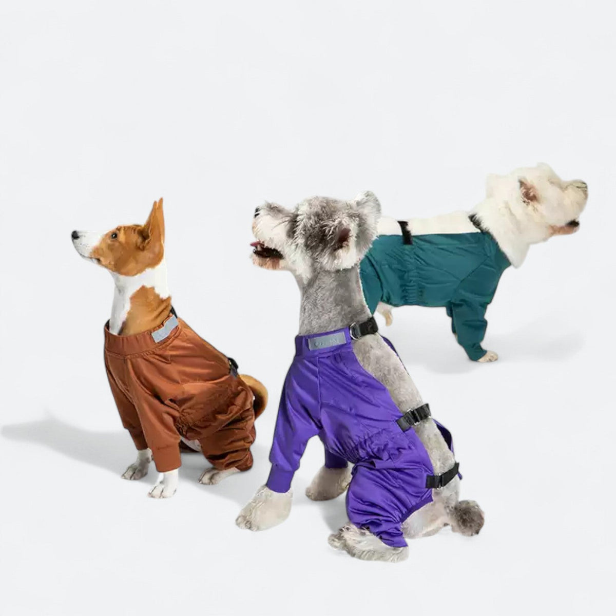 Full-Body-Waterproof-Dog-Jumpsuit.jpg