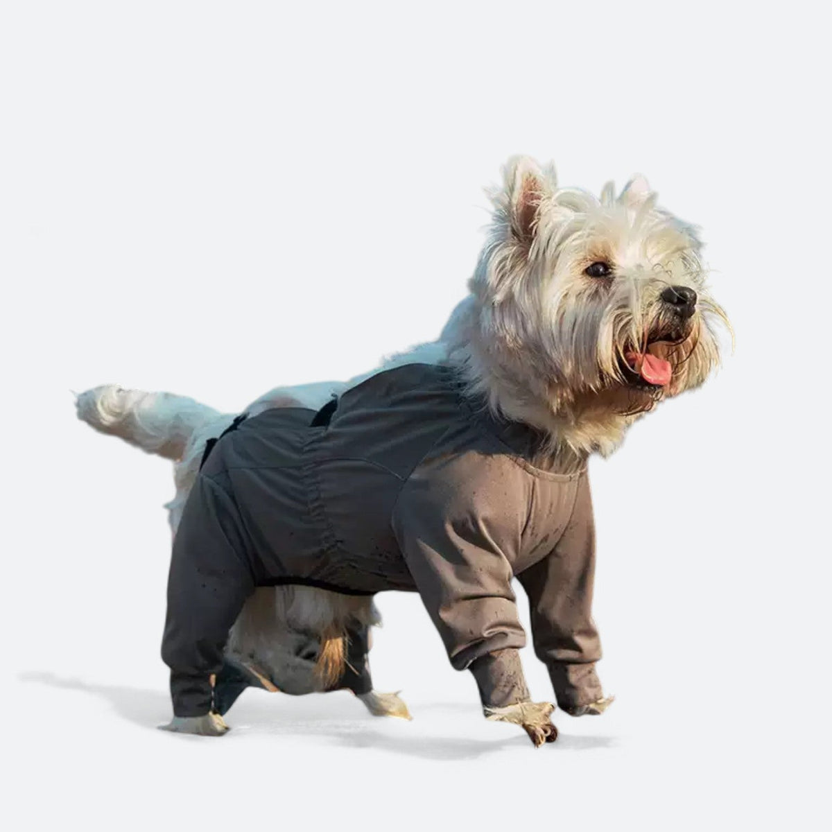 Full-Body-Waterproof-Dog-Jumpsuit.jpg