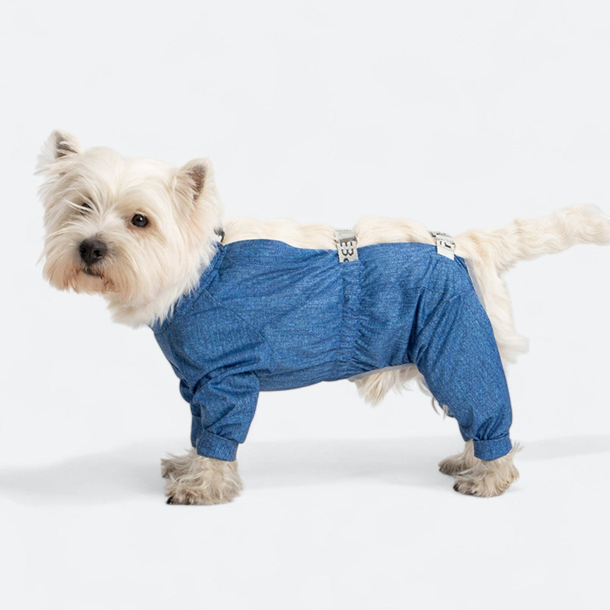 Full-Body-Waterproof-Dog-Jumpsuit.jpg