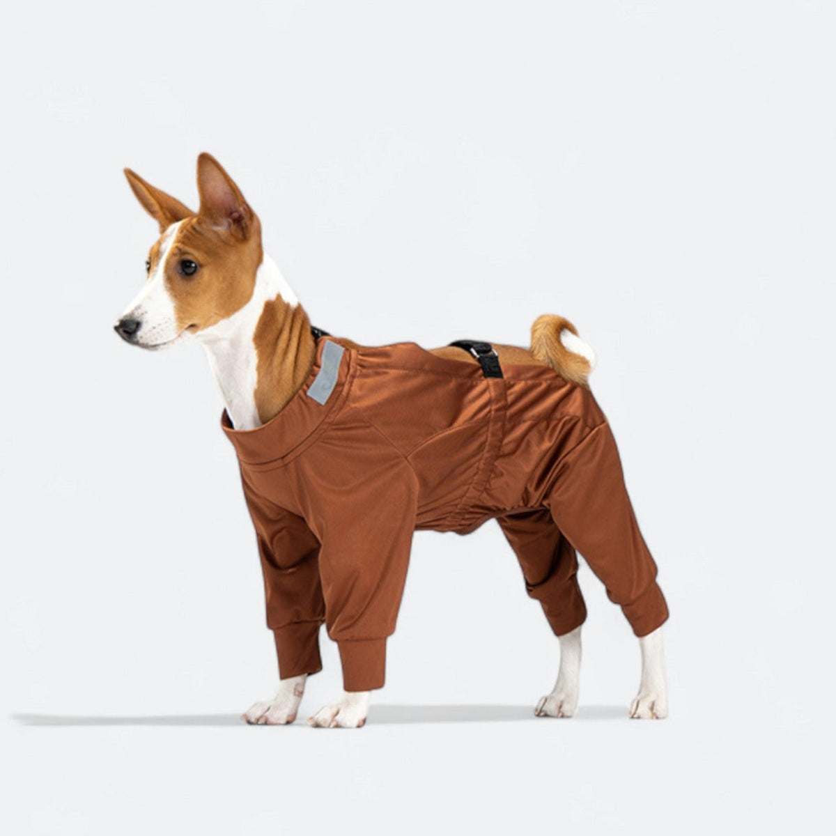 Full-Body-Waterproof-Dog-Jumpsuit.jpg