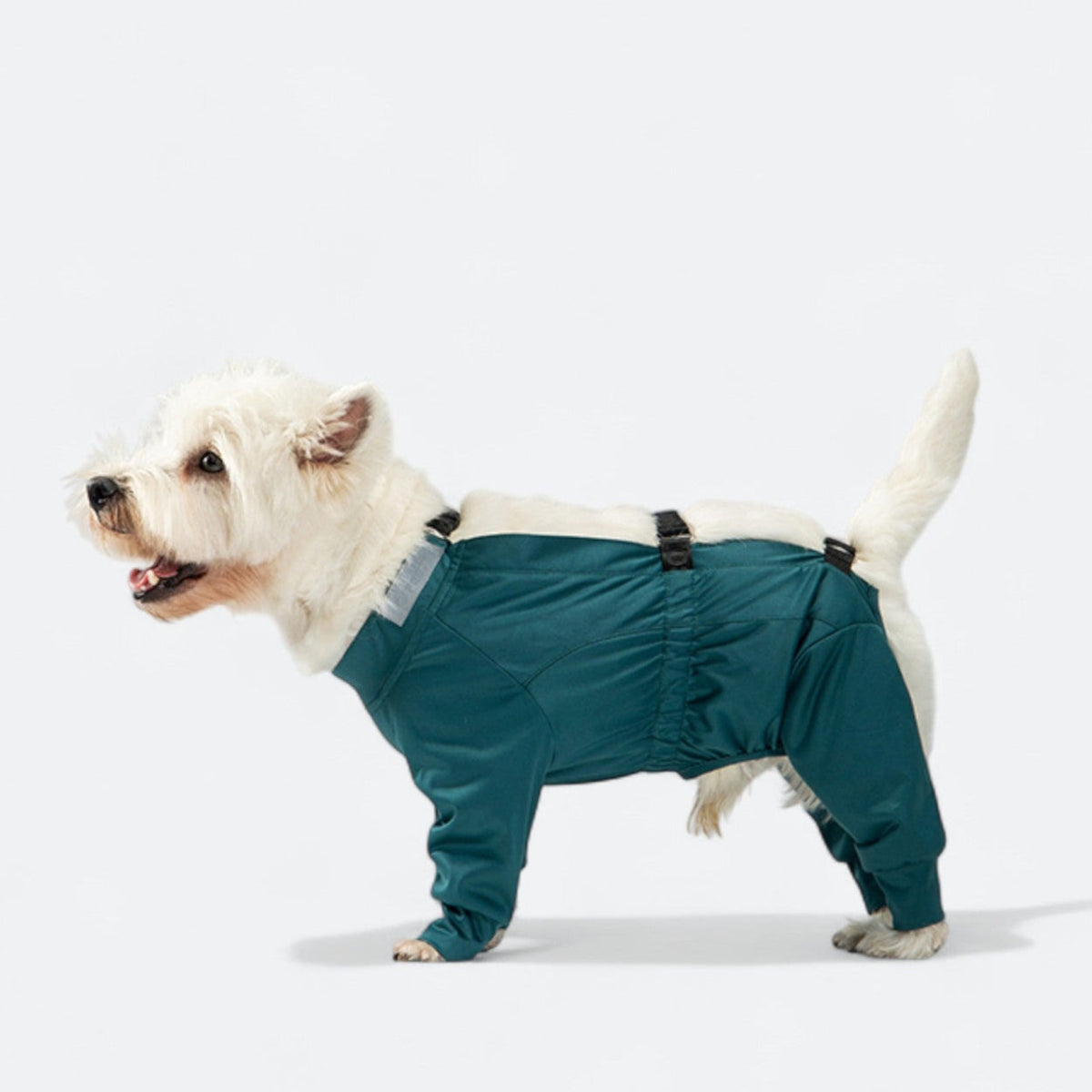 Full-Body-Waterproof-Dog-Jumpsuit.jpg