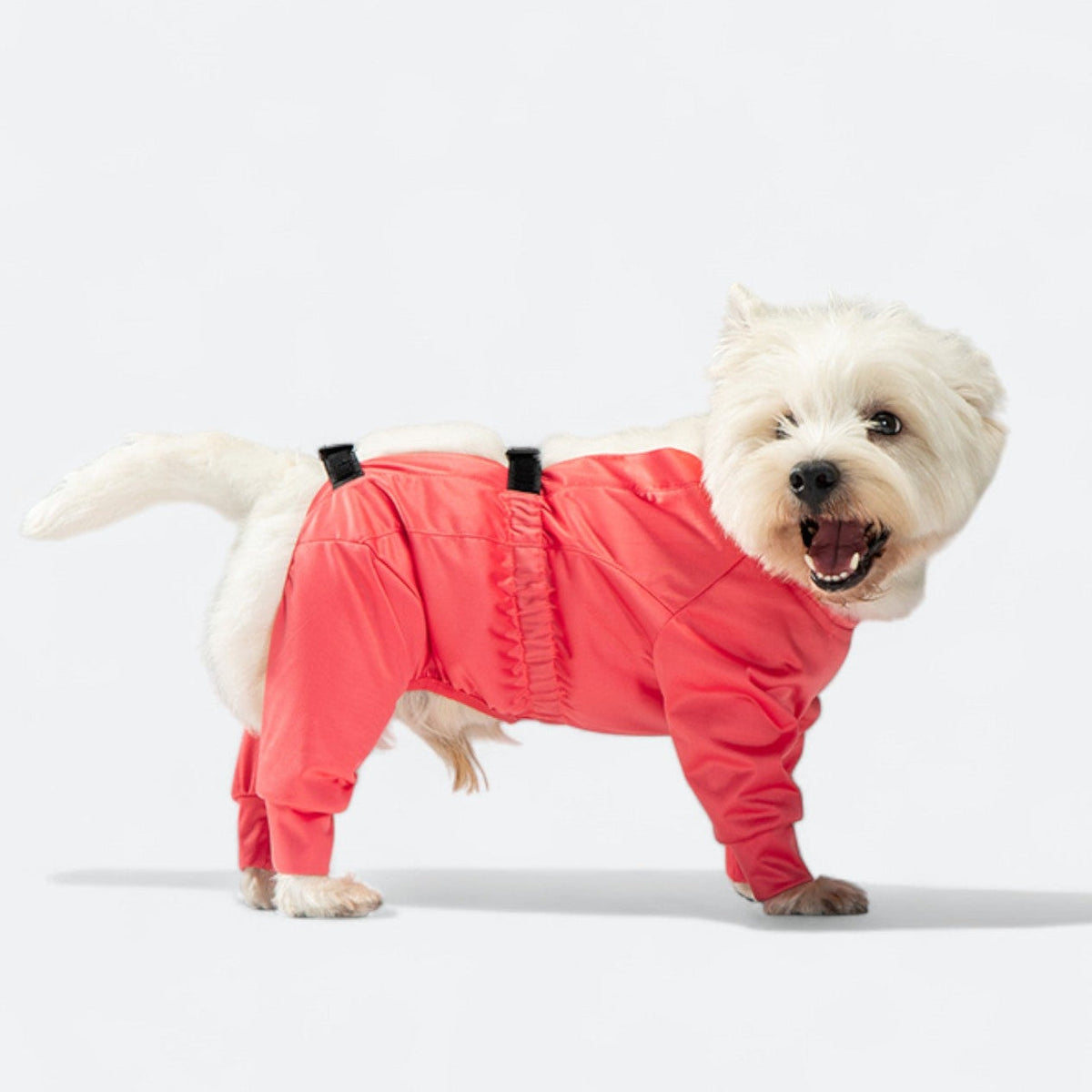 Full-Body-Waterproof-Dog-Jumpsuit.jpg