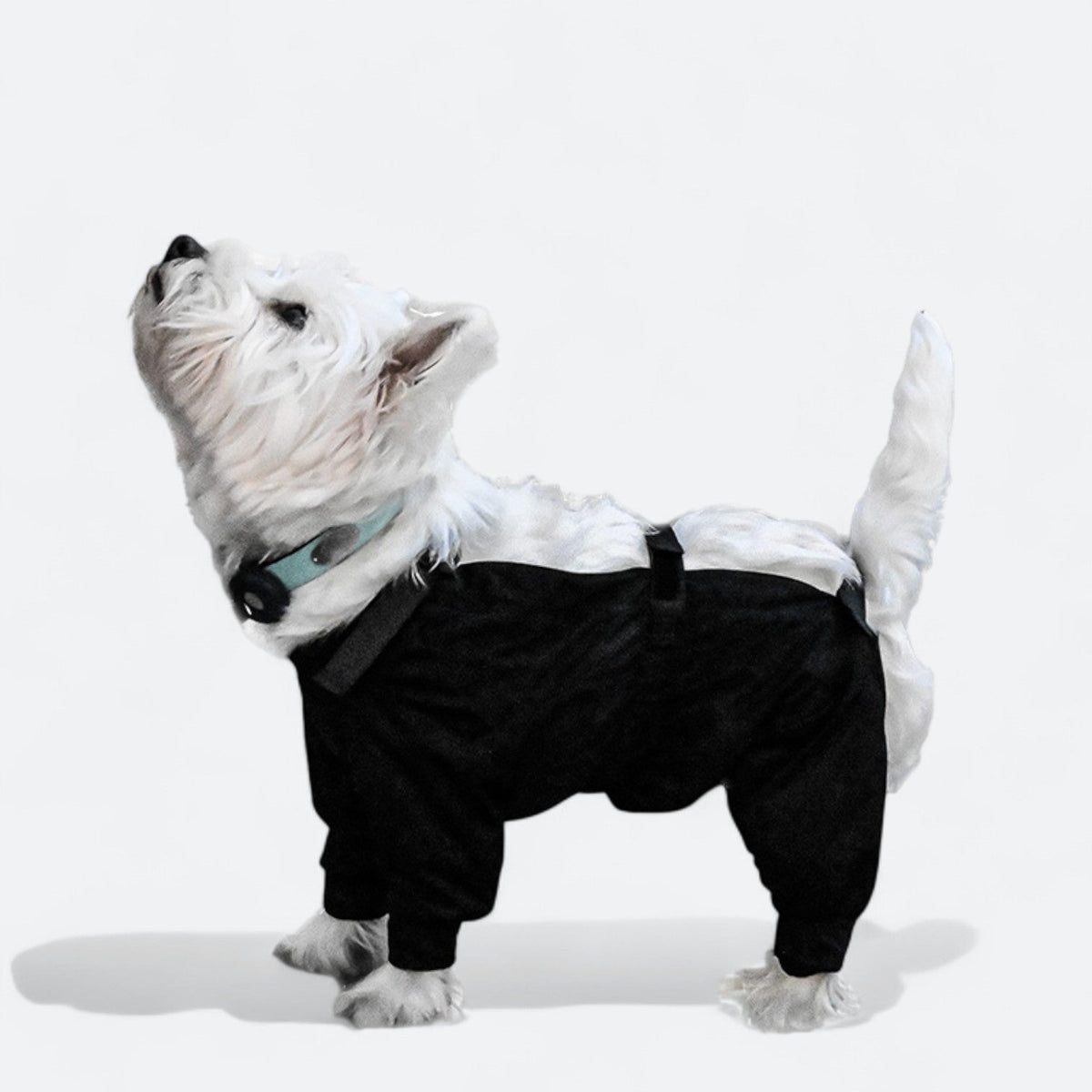 Full-Body-Waterproof-Dog-Jumpsuit.jpg