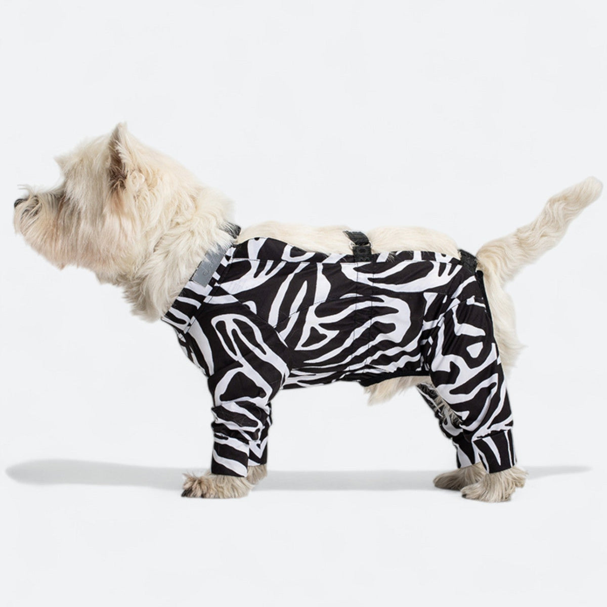 Full-Body-Waterproof-Dog-Jumpsuit.jpg
