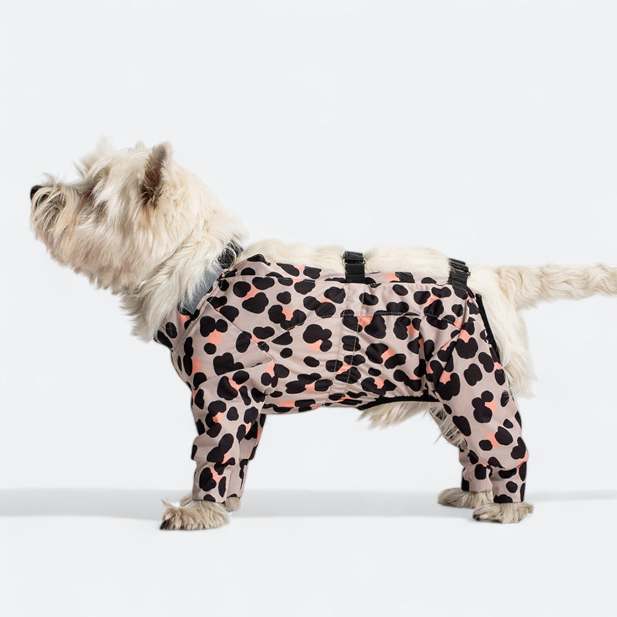 Full-Body-Waterproof-Dog-Jumpsuit.jpg