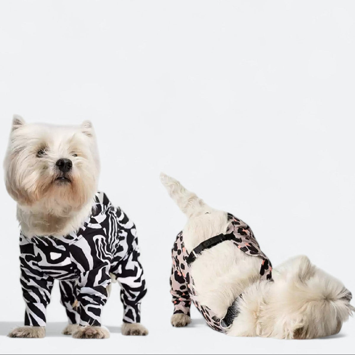 Full-Body-Waterproof-Dog-Jumpsuit.jpg