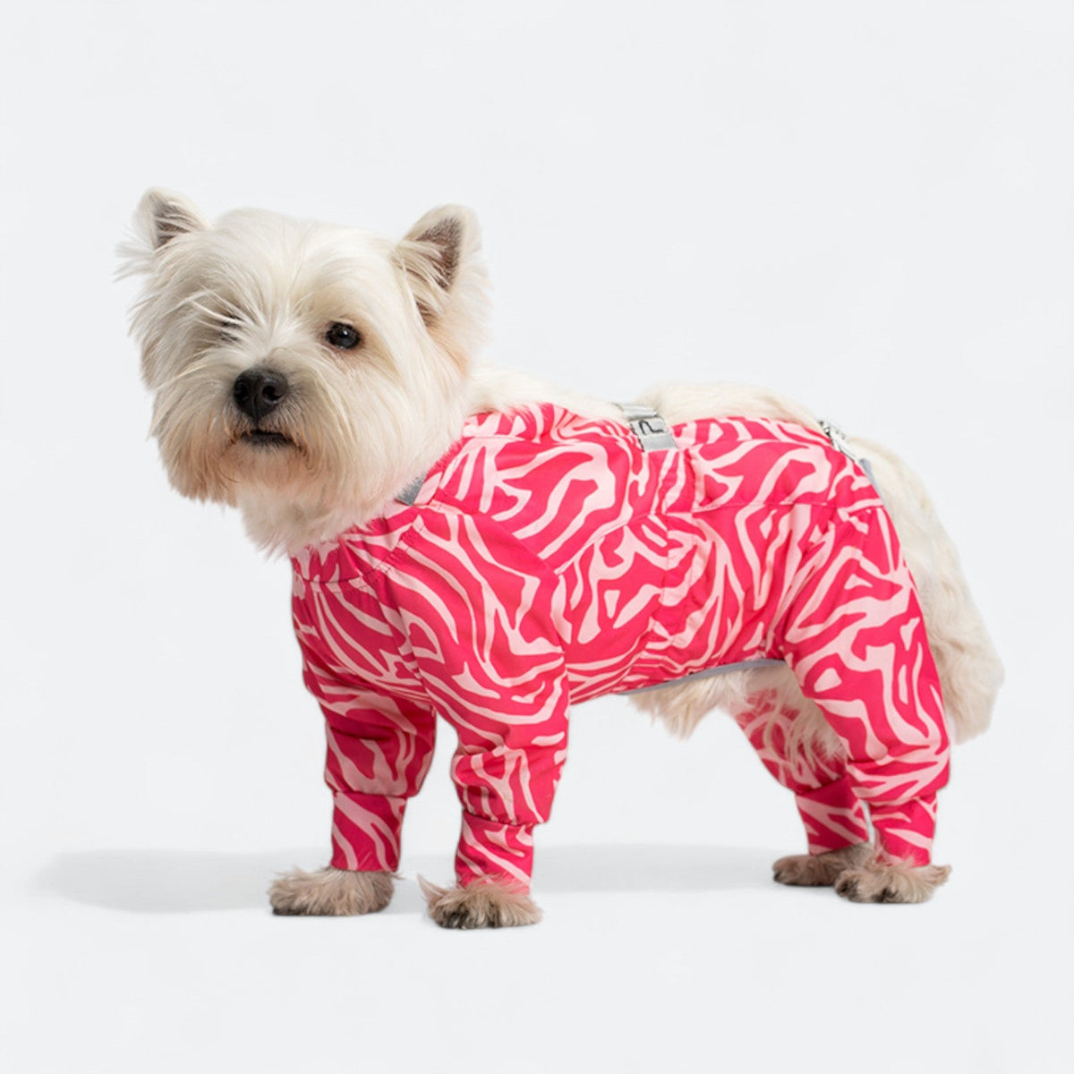 Full-Body-Waterproof-Dog-Jumpsuit.jpg