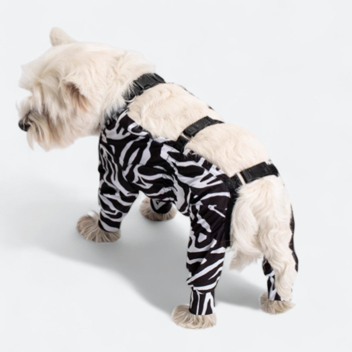 Full-Body-Waterproof-Dog-Jumpsuit.jpg