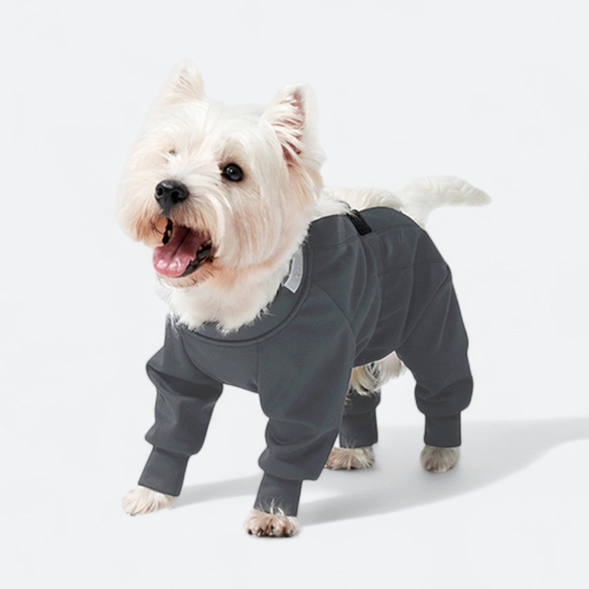 Full-Body-Waterproof-Dog-Jumpsuit.jpg