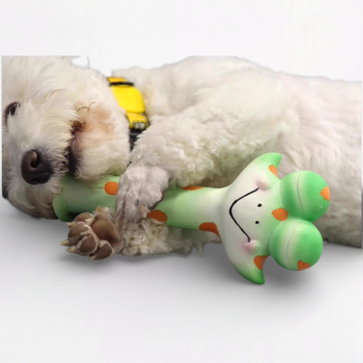Funny-Latex-Squeaky-Dog-Toy.jpg