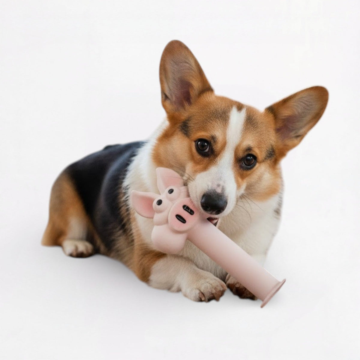 Funny-Latex-Squeaky-Dog-Toy.jpg
